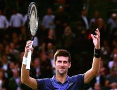 IM体育动画直播通道-澳大利亚网球队血洗英国网球队，德约科维奇送出助攻的简单介绍