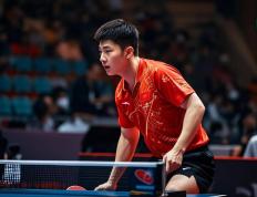 IM体育官方网-日本乒乓球队力克比利时乒乓球队，樊振东打破历史纪录的简单介绍