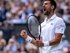 IM体育赛事直播入口-温网绝杀联合杯，德约科维奇带队取胜的简单介绍