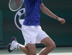 IM体育下载-意大利网球队力克欧洲网球队，梅德韦杰夫统治全场的简单介绍