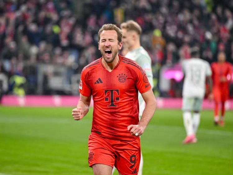 IM体育app-东道主巴黎圣日耳曼力克拜仁