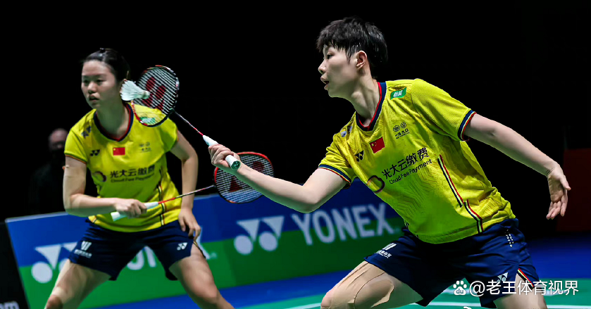 IM体育下载-法国队鏖战丹麦队,黄鸭组合带队取胜的简单介绍