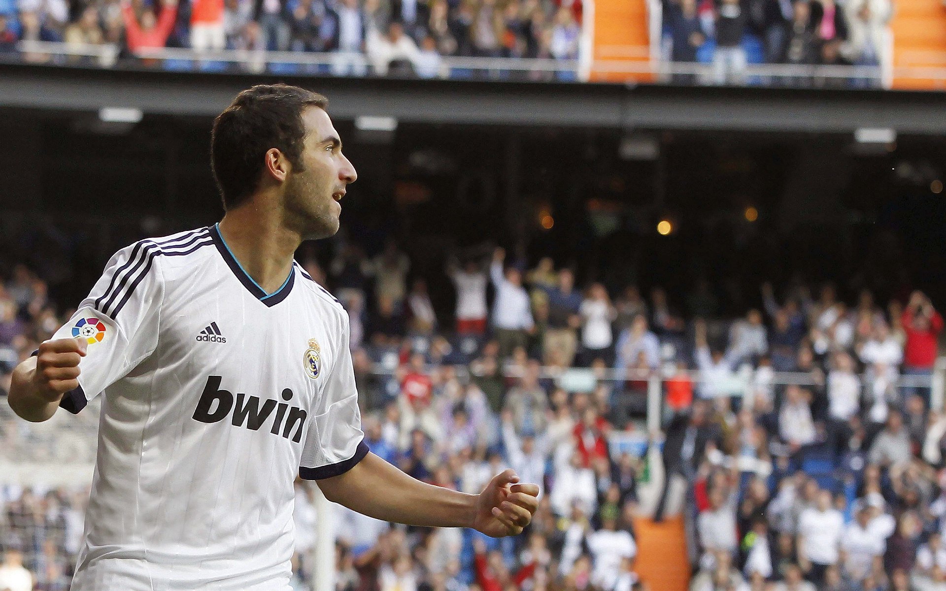 IM体育官方网-火力全开,日本战术压制新西兰,卢卡库闪耀全场成焦点